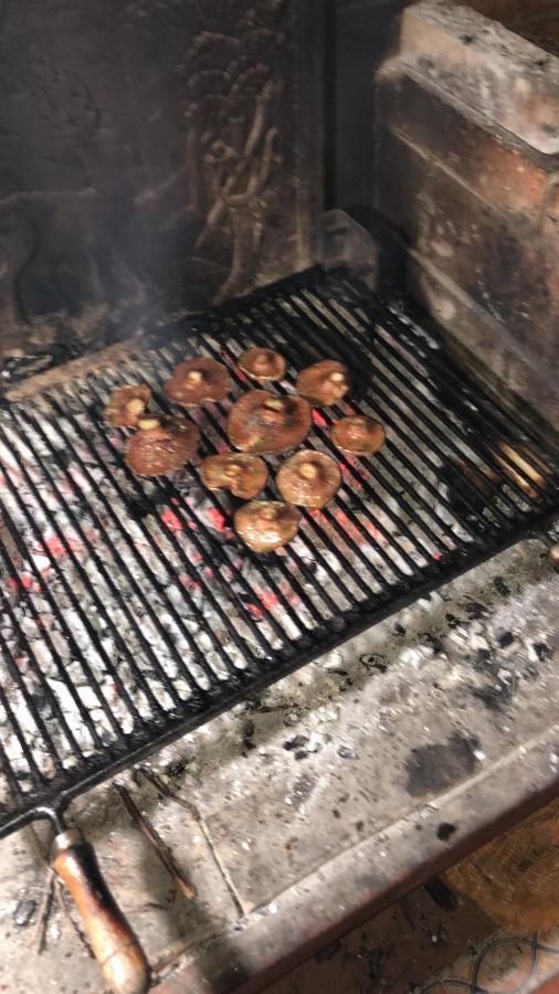 Ansobell Cal Barral 빌라 외부 사진